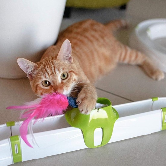 Ferplast Interaktives Spiel für Katzen TYPHON Katzenspielzeug, Modular Circuit, LED Luminous Ball enthalten Ferplast Interaktives Spiel für Katzen TYPHON Katzenspielzeug, Modular Circuit, LED Luminous Ball enthalten