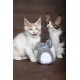 Flamingo Cat Toy Mazzo Mouse - Grey | Soft, Attractive & Fun! Flamingo Cat Toy Mazzo Mouse - Grey | Soft, Attractive & Fun!