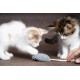 Flamingo Cat Toy Mazzo Mouse - Grey | Soft, Attractive & Fun! Flamingo Cat Toy Mazzo Mouse - Grey | Soft, Attractive & Fun!