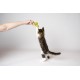 Flamingo Lemmo Cat Toy - Green | Interactive Play Rod for Cats Flamingo Lemmo Cat Toy - Green | Interactive Play Rod for Cats
