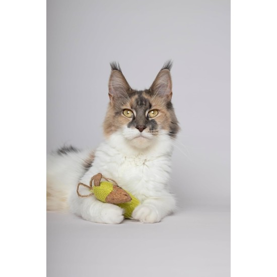 Flamingo Lemmo Cat Toy - Green | Interactive Play Rod for Cats Flamingo Lemmo Cat Toy - Green | Interactive Play Rod for Cats