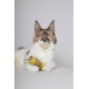 Flamingo Lemmo Cat Toy - Green | Interactive Play Rod for Cats Flamingo Lemmo Cat Toy - Green | Interactive Play Rod for Cats