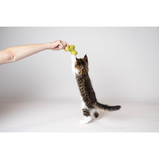 Flamingo Lemmo Cat Toy - Green | Interactive Play Rod for Cats Flamingo Lemmo Cat Toy - Green | Interactive Play Rod for Cats
