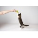 Flamingo Lemmo Cat Toy - Green | Interactive Play Rod for Cats Flamingo Lemmo Cat Toy - Green | Interactive Play Rod for Cats