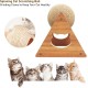 GDWD Cat Scratching Post with Wooden Base, Carpet, Ball and Pole - Playground and Sisal Board for Kittens GDWD Cat Scratching Post with Wooden Base, Carpet, Ball and Pole - Playground and Sisal Board for Kittens