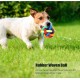 GEFIRE YA2Q Pet Toy Colourful Bell Ball, Acrylic GEFIRE YA2Q Pet Toy Colourful Bell Ball, Acrylic