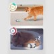 INF Cat Toy Electric Toy Mouse for Cats with USB Cable, Interactive Toy Mouse with Light Tail INF Cat Toy Electric Toy Mouse for Cats with USB Cable, Interactive Toy Mouse with Light Tail