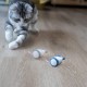 INF Cat Toy Electric Toy Mouse for Cats with USB Cable, Interactive Toy Mouse with Light Tail INF Cat Toy Electric Toy Mouse for Cats with USB Cable, Interactive Toy Mouse with Light Tail