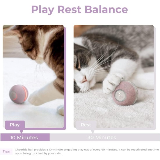 Interaktives Katzenspielzeug, Intelligenter Katzenball mit 3 Interaktionsmodi, Katzenspielzeug Ball Elektrisch mit LED-Leuchten, Automatisches Katzenspielzeug, Katzen Spielball für Katze,Grau Interaktives Katzenspielzeug, Intelligenter Katzenball mit 3 Interaktionsmodi, Katzenspielzeug Ball Elektrisch mit LED-Leuchten, Automatisches Katzenspielzeug, Katzen Spielball für Katze,Grau