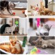 JOTOL 38 Pieces Cat Toy with Cat Tunnel, Cat Toy, Also Includes Feather Toy, Balls, Plush Toy, Toy Mice Cats Toy Variety Pack for Kitty Cats JOTOL 38 Pieces Cat Toy with Cat Tunnel, Cat Toy, Also Includes Feather Toy, Balls, Plush Toy, Toy Mice Cats Toy Variety Pack for Kitty Cats
