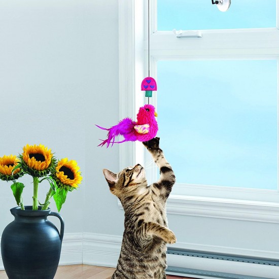 KONG Connects Window Teaser (Colour Various) - Colourful Bird to Stimulate Cat Games KONG Connects Window Teaser (Colour Various) - Colourful Bird to Stimulate Cat Games