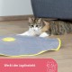 Kerbl 2-in-1 Catch The Tail Feather Cat Toy, 70 x 53 x 5 cm Kerbl 2-in-1 Catch The Tail Feather Cat Toy, 70 x 53 x 5 cm