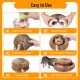 Kitty Kurlz Cat Toy, Magic Accordion Scratching Board, Interactive Toy with Ball Track, Cardboard Scratching Toy for Indoor Cats and Kittens, Activity and Exercise Kitty Kurlz Cat Toy, Magic Accordion Scratching Board, Interactive Toy with Ball Track, Cardboard Scratching Toy for Indoor Cats and Kittens, Activity and Exercise