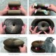 Kitty Kurlz Cat Toy, Magic Accordion Scratching Board, Interactive Toy with Ball Track, Cardboard Scratching Toy for Indoor Cats and Kittens, Activity and Exercise Kitty Kurlz Cat Toy, Magic Accordion Scratching Board, Interactive Toy with Ball Track, Cardboard Scratching Toy for Indoor Cats and Kittens, Activity and Exercise