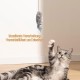 LBJFYHJN Cat Toy Self-Employment Hanging Door Frame, Grey Mice, Realistic Plush Mouse The Squeaks, Interactive Cat Toy Mouse with Feather Tail LBJFYHJN Cat Toy Self-Employment Hanging Door Frame, Grey Mice, Realistic Plush Mouse The Squeaks, Interactive Cat Toy Mouse with Feather Tail