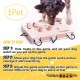 MICE - My Intelligent Dogs Interaktives Katzenspielzeug aus Holz Intelligentes Spielzeug für Katzen MICE - My Intelligent Dogs Interaktives Katzenspielzeug aus Holz Intelligentes Spielzeug für Katzen