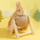 MagiDeal Rabbit Scratcher Toy, Interactive Wooden Toy with Sisal Ball, Ideal for Rabbits, Chinchillas & Cats MagiDeal Rabbit Scratcher Toy, Interactive Wooden Toy with Sisal Ball, Ideal for Rabbits, Chinchillas & Cats