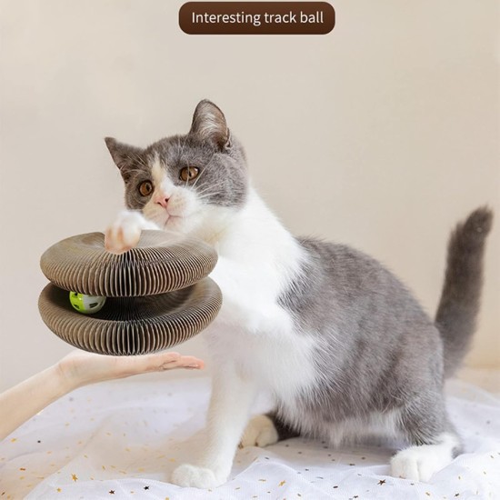Magic Organ Cat Scratching Board, Cat Scratching Board, Cat Toy, Magic Foldable Scratching Cardboard, Interactive Foldable Scratching Toy with Bell Ball, Interactive Foldable Scratching Toy Magic Organ Cat Scratching Board, Cat Scratching Board, Cat Toy, Magic Foldable Scratching Cardboard, Interactive Foldable Scratching Toy with Bell Ball, Interactive Foldable Scratching Toy