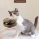 Magic Organ Cat Scratching Board, Cat Scratching Board, Cat Toy, Magic Foldable Scratching Cardboard, Interactive Foldable Scratching Toy with Bell Ball, Interactive Foldable Scratching Toy Magic Organ Cat Scratching Board, Cat Scratching Board, Cat Toy, Magic Foldable Scratching Cardboard, Interactive Foldable Scratching Toy with Bell Ball, Interactive Foldable Scratching Toy