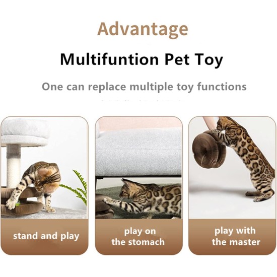 Magic Organ Cat Scratching Board, Cat Scratching Board, Cat Toy, Magic Foldable Scratching Cardboard, Interactive Foldable Scratching Toy with Bell Ball, Interactive Foldable Scratching Toy Magic Organ Cat Scratching Board, Cat Scratching Board, Cat Toy, Magic Foldable Scratching Cardboard, Interactive Foldable Scratching Toy with Bell Ball, Interactive Foldable Scratching Toy