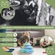 Mobiclinic® Pets Cat Toy, Interactive, Catplay, Sensory Stimulation, 4 Levels, Balls, Easy to Assemble, 12 x 24 x 16.5 cm, Interactive Cat Tower, Non-Slip, Attractive Design