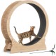 Mondeer Cat Wheel for Indoor Cat, 110 cm Treadmill with Removable Carpet for Cats, Wooden Balance Bike for Small, Medium, Large Cat, Fitness Weight Loss Device, Natural Wood