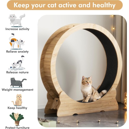 Mondeer Cat Wheel for Indoor Cat, 110 cm Treadmill with Removable Carpet for Cats, Wooden Balance Bike for Small, Medium, Large Cat, Fitness Weight Loss Device, Natural Wood Mondeer Cat Wheel for Indoor Cat, 110 cm Treadmill with Removable Carpet for Cats, Wooden Balance Bike for Small, Medium, Large Cat, Fitness Weight Loss Device, Natural Wood