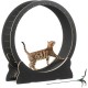 Mondeer Cat Wheel for Indoor Cat, 110 cm Treadmill with Removable Carpet for Cats, Wooden Balance Bike for Small, Medium, Large Cat, Fitness Weight Loss Device, Natural Wood
