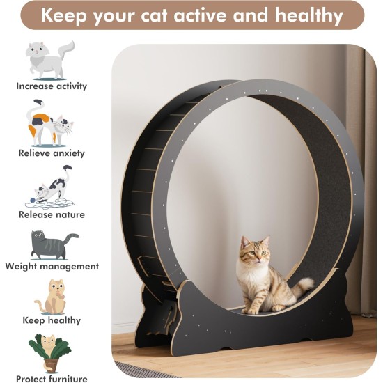 Mondeer Cat Wheel for Indoor Cat, 110 cm Treadmill with Removable Carpet for Cats, Wooden Balance Bike for Small, Medium, Large Cat, Fitness Weight Loss Device, Natural Wood Mondeer Cat Wheel for Indoor Cat, 110 cm Treadmill with Removable Carpet for Cats, Wooden Balance Bike for Small, Medium, Large Cat, Fitness Weight Loss Device, Natural Wood