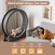 Mondeer Cat Wheel for Indoor Cat, 110 cm Treadmill with Removable Carpet for Cats, Wooden Balance Bike for Small, Medium, Large Cat, Fitness Weight Loss Device, Natural Wood