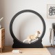 Mondeer Cat Wheel for Indoor Cat, 110 cm Treadmill with Removable Carpet for Cats, Wooden Balance Bike for Small, Medium, Large Cat, Fitness Weight Loss Device, Natural Wood