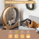 Mondeer Cat Wheel for Indoor Cat, 110 cm Treadmill with Removable Carpet for Cats, Wooden Balance Bike for Small, Medium, Large Cat, Fitness Weight Loss Device, Natural Wood
