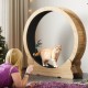 Mondeer Cat Wheel for Indoor Cat, 110 cm Treadmill with Removable Carpet for Cats, Wooden Balance Bike for Small, Medium, Large Cat, Fitness Weight Loss Device, Natural Wood