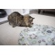 Mystery Motion Hidden Cat Toy - Colours May Vary Mystery Motion Hidden Cat Toy - Colours May Vary