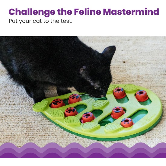 Nina Ottosson by Petstages Buggin Out Puzzle & Play - Interactive Cat Toy for Treats Nina Ottosson by Petstages Buggin Out Puzzle & Play - Interactive Cat Toy for Treats
