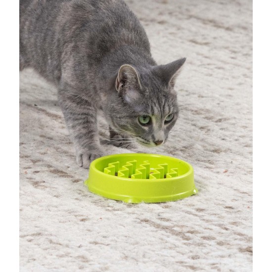 Nina Ottosson by Petstages Buggin Out Puzzle & Play - Interactive Cat Toy for Treats Nina Ottosson by Petstages Buggin Out Puzzle & Play - Interactive Cat Toy for Treats