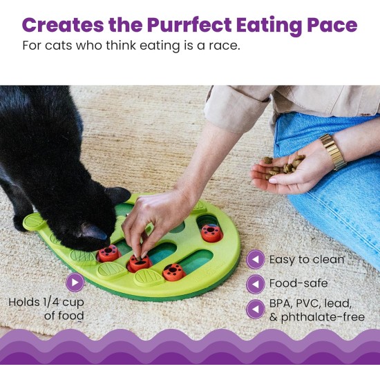 Nina Ottosson by Petstages Buggin Out Puzzle & Play - Interactive Cat Toy for Treats Nina Ottosson by Petstages Buggin Out Puzzle & Play - Interactive Cat Toy for Treats