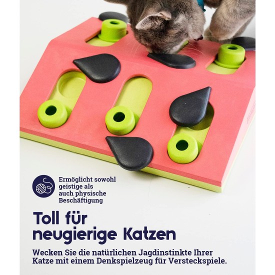Nina Ottosson by Petstages Buggin Out Puzzle & Play - Interactive Cat Toy for Treats Nina Ottosson by Petstages Buggin Out Puzzle & Play - Interactive Cat Toy for Treats