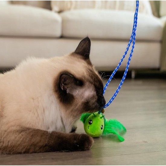 Nina Ottosson by Petstages Buggin Out Puzzle & Play - Interactive Cat Toy for Treats Nina Ottosson by Petstages Buggin Out Puzzle & Play - Interactive Cat Toy for Treats