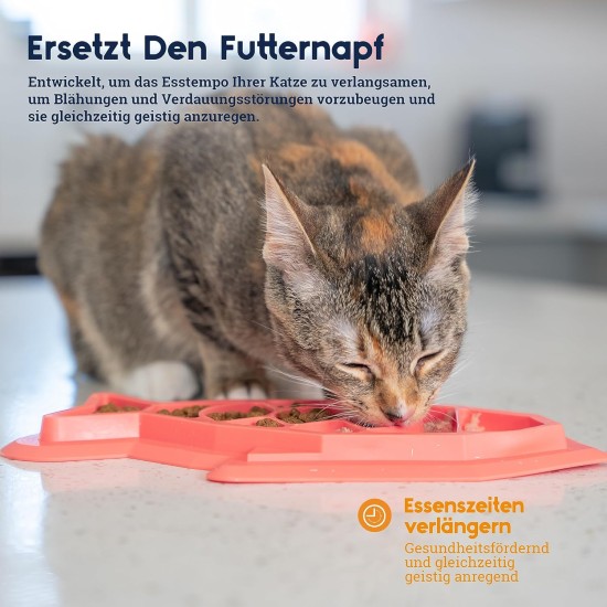 Nina Ottosson by Petstages Buggin Out Puzzle & Play - Interactive Cat Toy for Treats Nina Ottosson by Petstages Buggin Out Puzzle & Play - Interactive Cat Toy for Treats