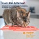 Nina Ottosson by Petstages Buggin Out Puzzle & Play - Interactive Cat Toy for Treats Nina Ottosson by Petstages Buggin Out Puzzle & Play - Interactive Cat Toy for Treats