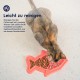 Nina Ottosson by Petstages Buggin Out Puzzle & Play - Interactive Cat Toy for Treats Nina Ottosson by Petstages Buggin Out Puzzle & Play - Interactive Cat Toy for Treats
