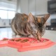 Nina Ottosson by Petstages Buggin Out Puzzle & Play - Interactive Cat Toy for Treats Nina Ottosson by Petstages Buggin Out Puzzle & Play - Interactive Cat Toy for Treats