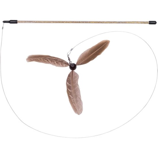 Nobby Angel whirlwind Nobby Angel whirlwind
