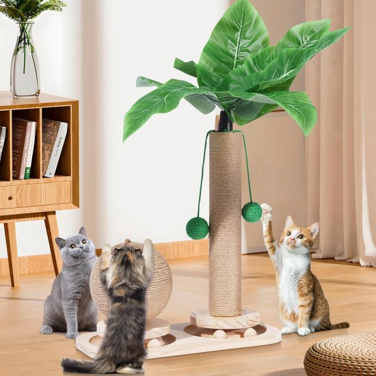 Novelfun Cat Scratching Post, Palm Tree Scratching Posts for Cats, 2 in 1 Interactive Cat Toy with Hanging Balls, Cat Scratching Posts, Cat Toy for Small and Medium Cats Novelfun Cat Scratching Post, Palm Tree Scratching Posts for Cats, 2 in 1 Interactive Cat Toy with Hanging Balls, Cat Scratching Posts, Cat Toy for Small and Medium Cats