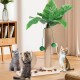 Novelfun Cat Scratching Post, Palm Tree Scratching Posts for Cats, 2 in 1 Interactive Cat Toy with Hanging Balls, Cat Scratching Posts, Cat Toy for Small and Medium Cats Novelfun Cat Scratching Post, Palm Tree Scratching Posts for Cats, 2 in 1 Interactive Cat Toy with Hanging Balls, Cat Scratching Posts, Cat Toy for Small and Medium Cats