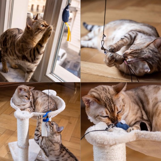 PRETTY KITTY Vegan Cat Toy Set: Large 15 Pieces Cat Toy Set with Cat Fishing Feathers and Catnip Toy Cat PRETTY KITTY Vegan Cat Toy Set: Large 15 Pieces Cat Toy Set with Cat Fishing Feathers and Catnip Toy Cat