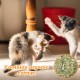 Pack of 20 Cat Toy Mouse Plush Mouse Kitten Toy Catnip Toy Interactive Cat Toy Toy Mice for Cats and Kittens (10 Colours) Pack of 20 Cat Toy Mouse Plush Mouse Kitten Toy Catnip Toy Interactive Cat Toy Toy Mice for Cats and Kittens (10 Colours)