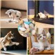 Pack of 20 Cat Toy Mouse Plush Mouse Kitten Toy Catnip Toy Interactive Cat Toy Toy Mice for Cats and Kittens (10 Colours) Pack of 20 Cat Toy Mouse Plush Mouse Kitten Toy Catnip Toy Interactive Cat Toy Toy Mice for Cats and Kittens (10 Colours)
