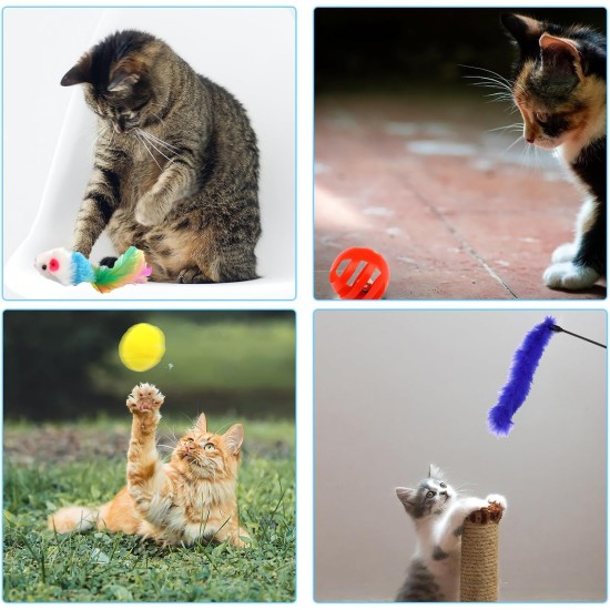 Pack of 31 Cat Toys with Cat Tunnel, Balls, Cat Toy, Mice, Feather Toy, Plush Toy, Interactive Cat Toy for Cats, Cat Accessories Pack of 31 Cat Toys with Cat Tunnel, Balls, Cat Toy, Mice, Feather Toy, Plush Toy, Interactive Cat Toy for Cats, Cat Accessories